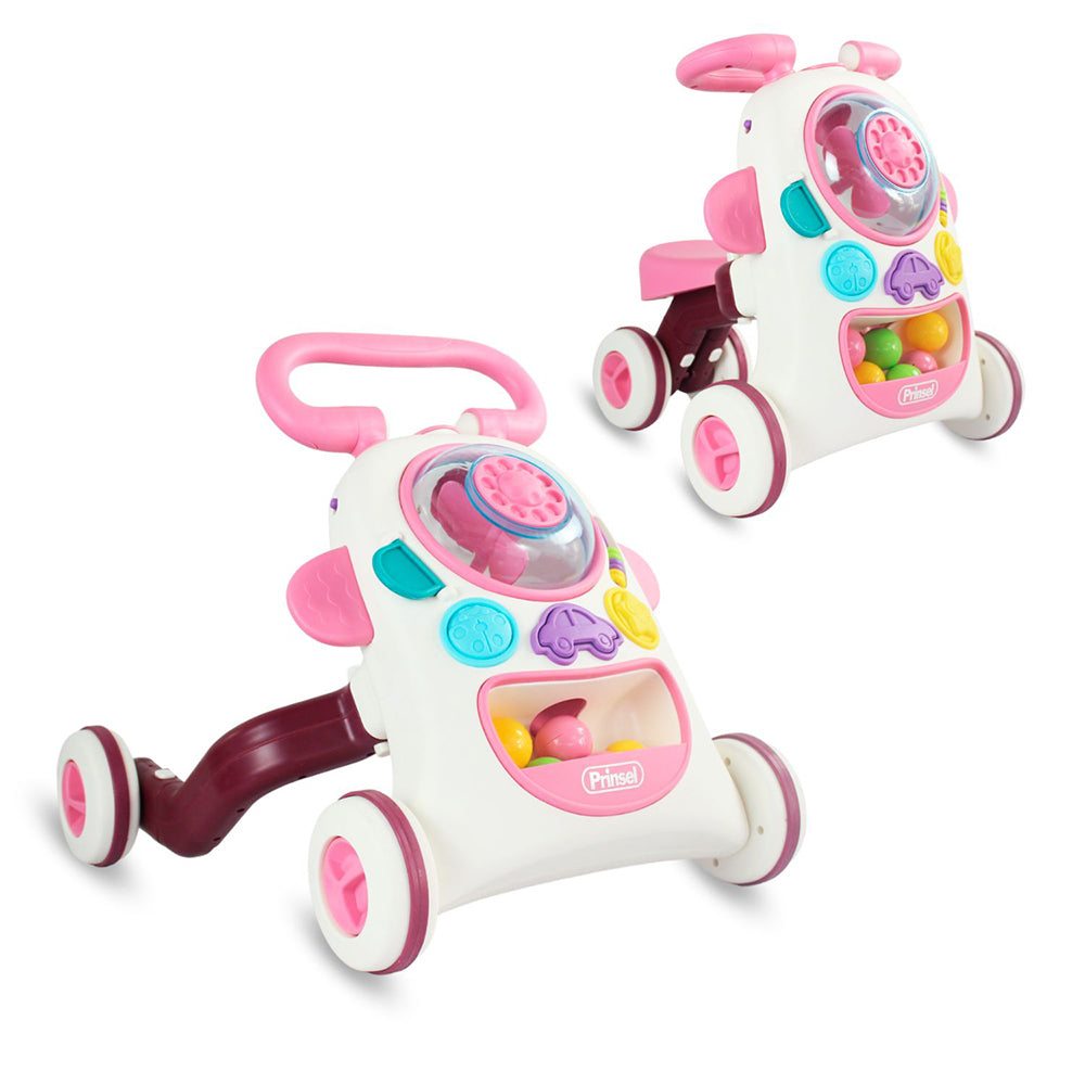 Montable 2 en 1 Push2ride Niña