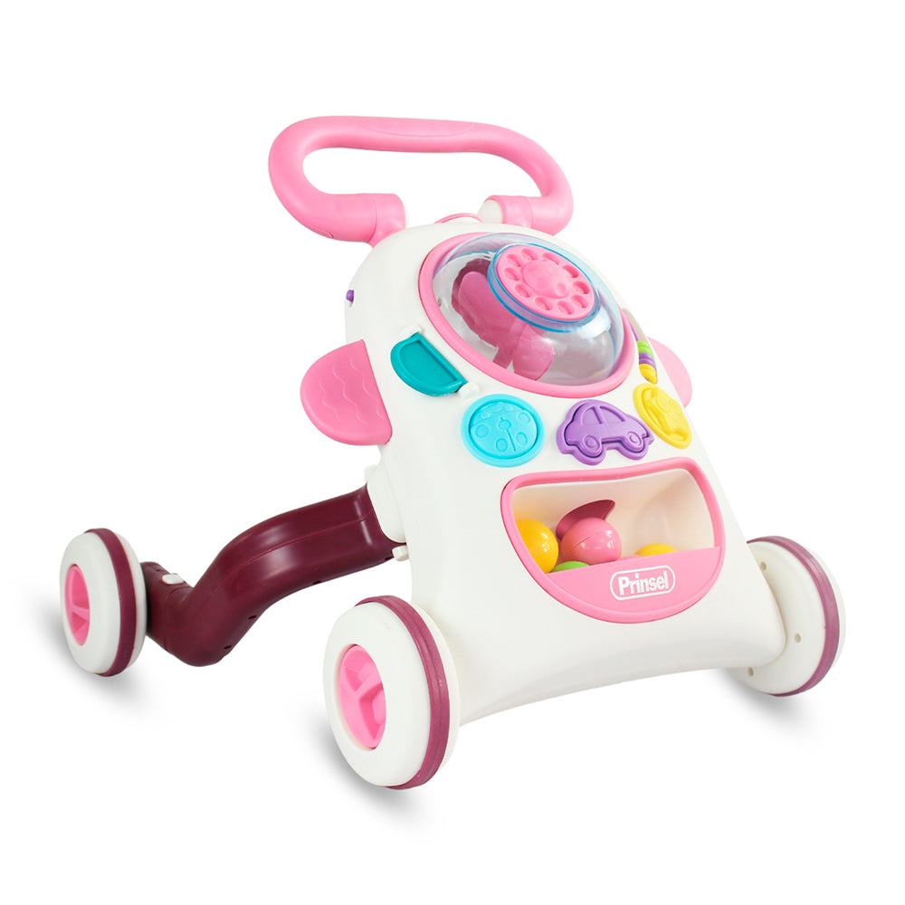 Montable 2 en 1 Push2ride Niña