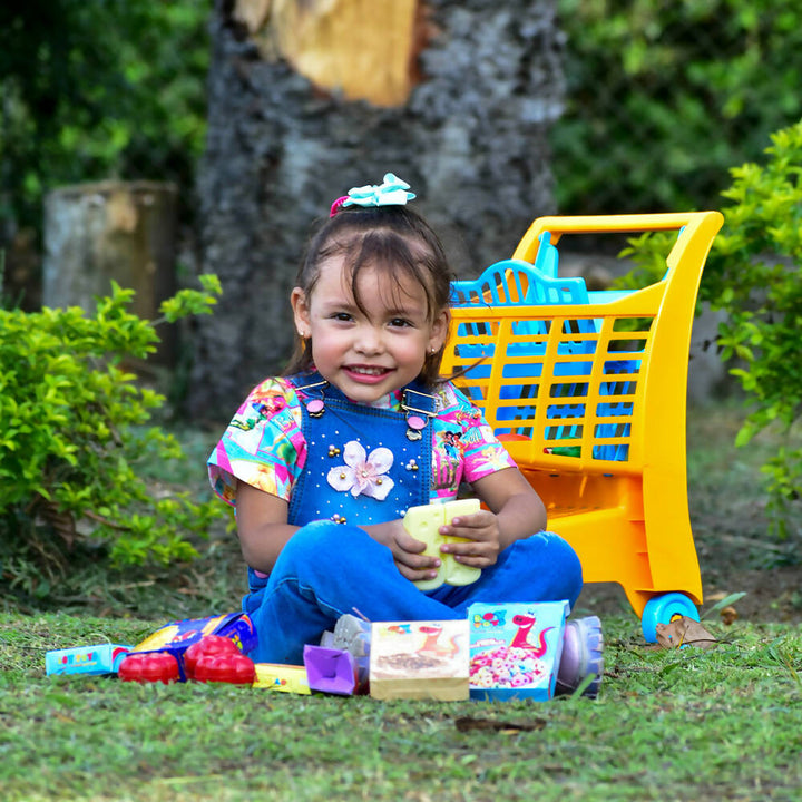 Carrito con Mercado de juguete Marca Boy Toys